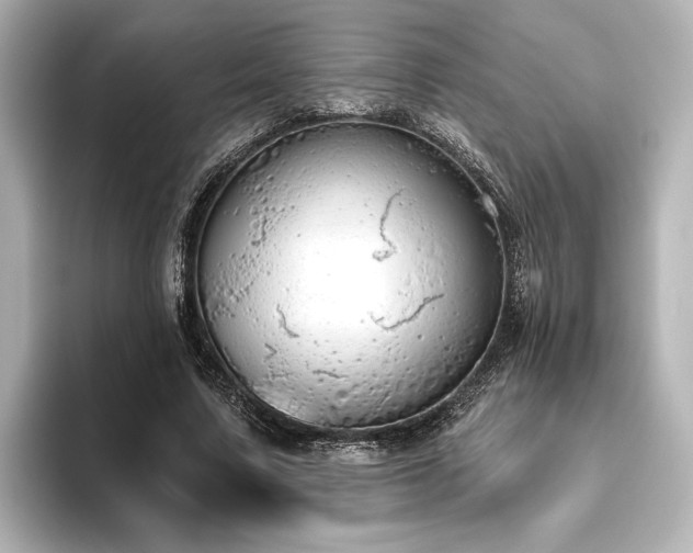 X0000096490683200801241505