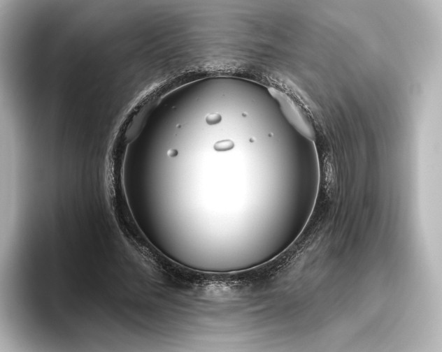 X0000096490684200801241505