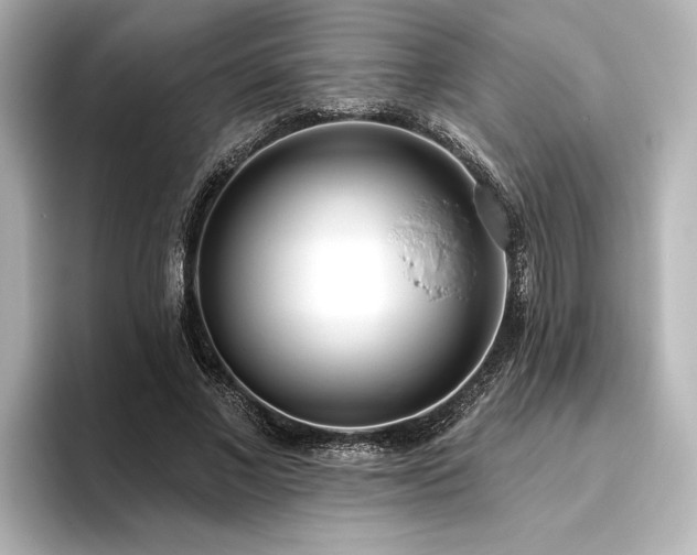 X0000096490685200801241505