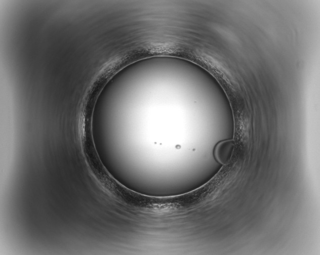 X0000096490686200801241505