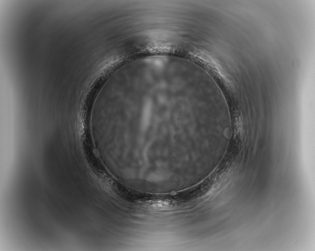 X0000096490687200801241505