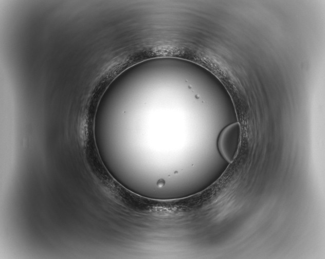 X0000096490690200801241505