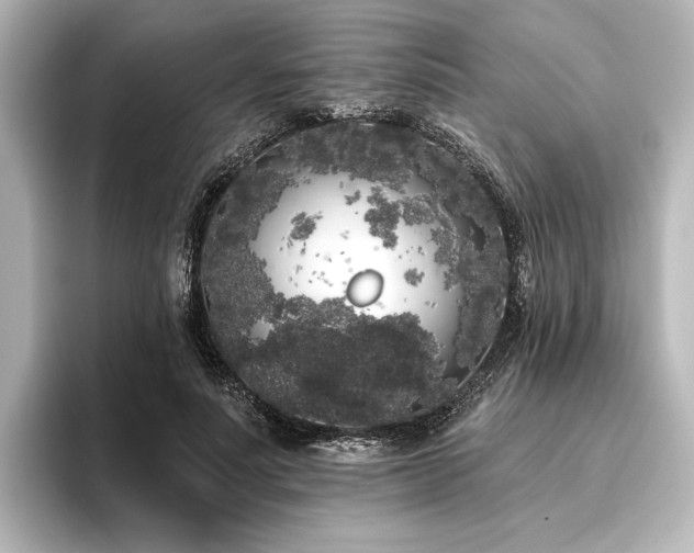 X0000096490691200801241505