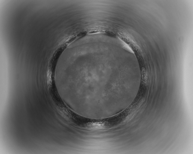 X0000096490692200801241505
