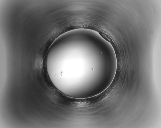 X0000096490693200801241505