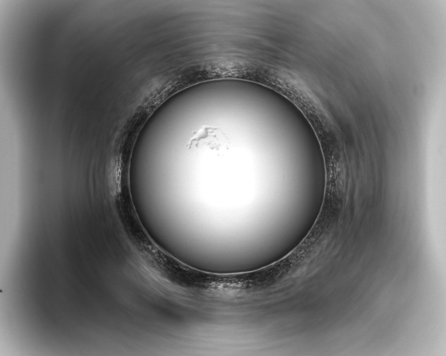 X0000096490694200801241505
