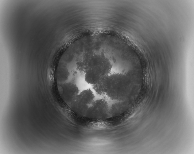 X0000096490695200801241505