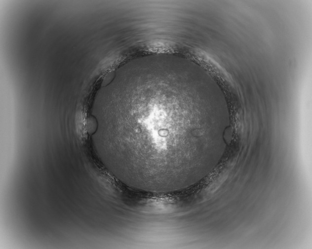 X0000096490696200801241505