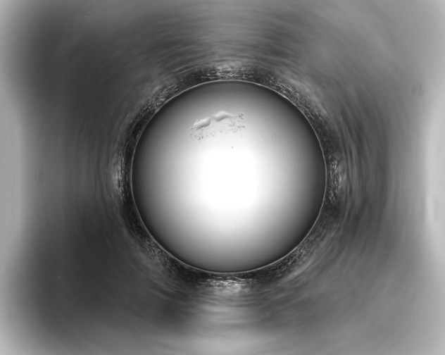 X0000096490698200801241505