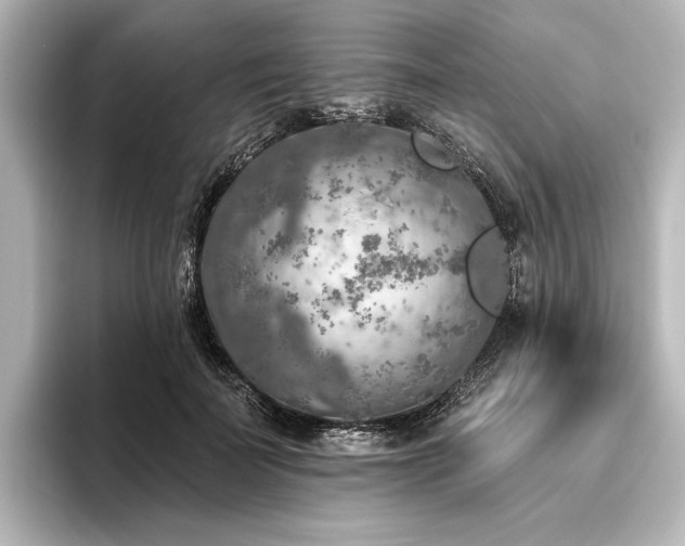 X0000096490699200801241505