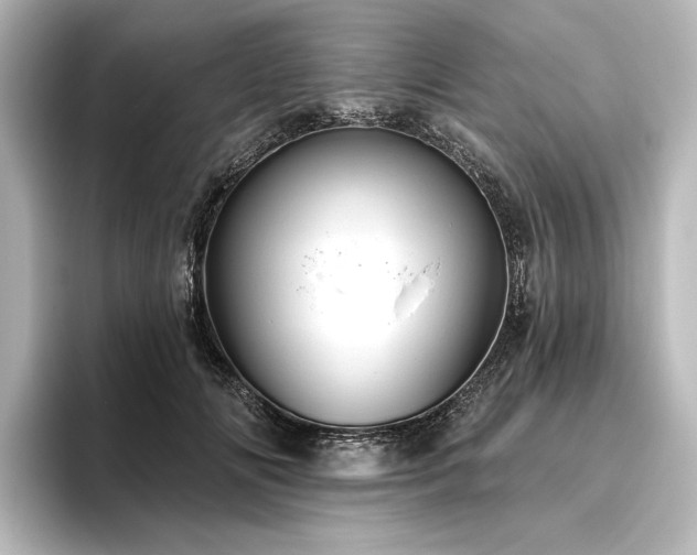 X0000096490702200801241505
