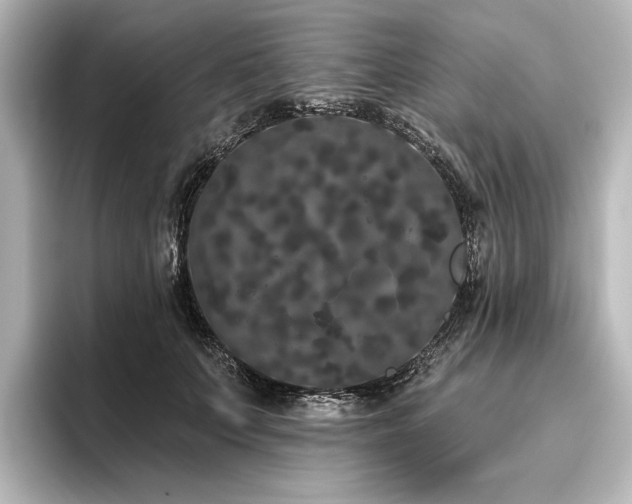 X0000096490703200801241505