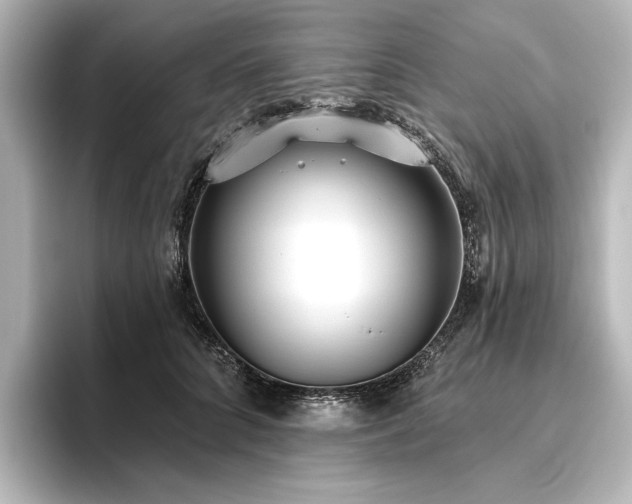 X0000096490704200801241505