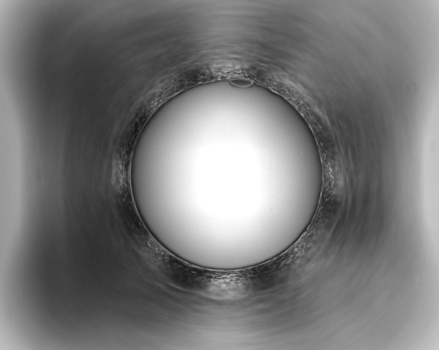 X0000096490705200801241505