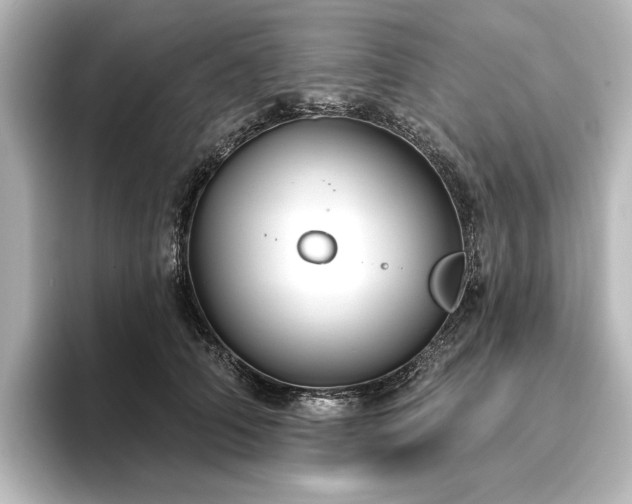 X0000096490706200801241505