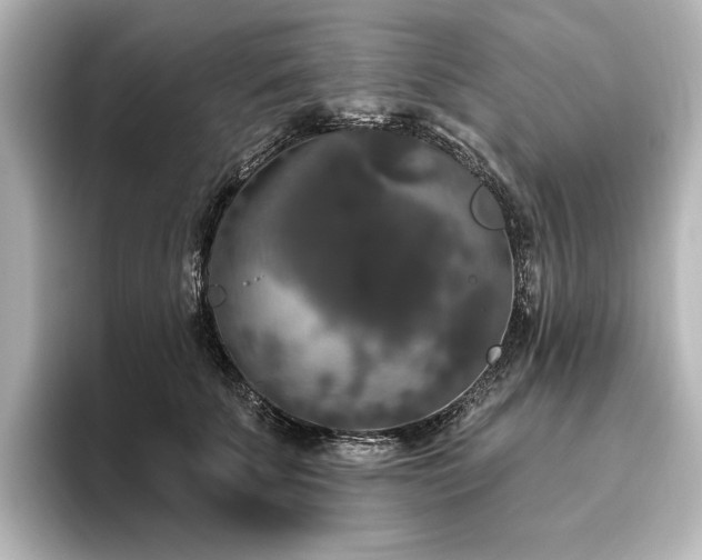 X0000096490707200801241505