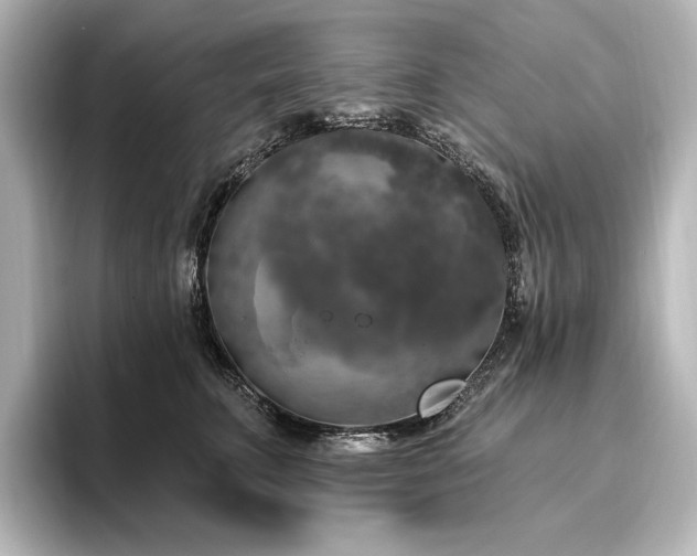 X0000096490711200801241505
