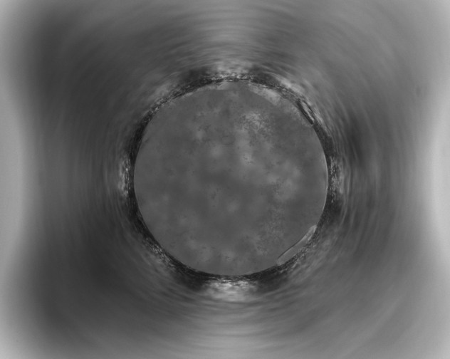 X0000096490712200801241505