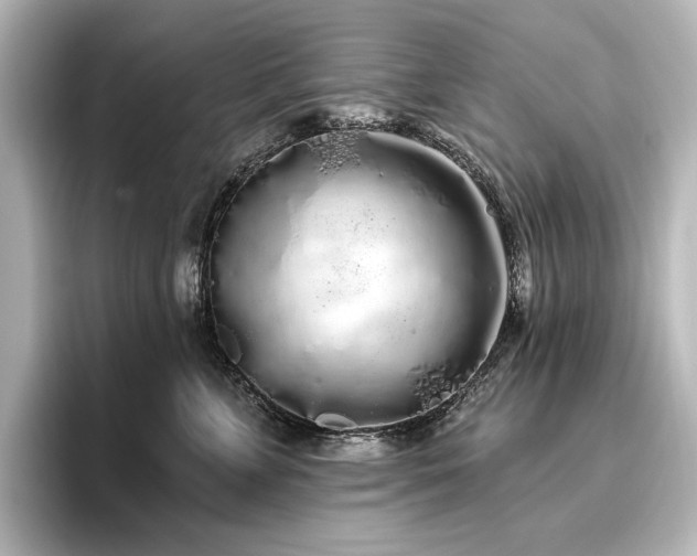 X0000096490715200801241505