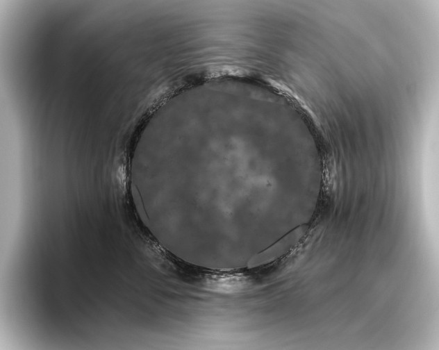 X0000096490716200801241505