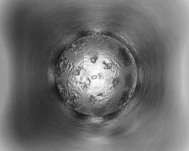 X0000096490719200801241505
