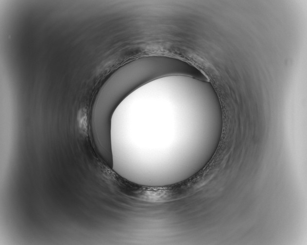 X0000096490720200801241505