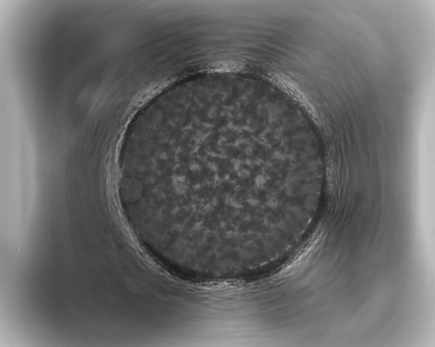 X0000096490721200801241504