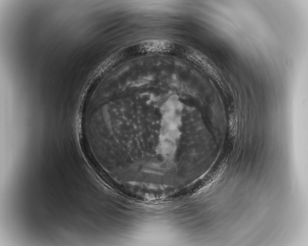X0000096490725200801241504