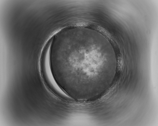 X0000096490726200801241504