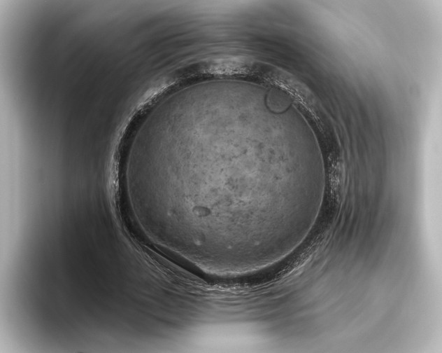 X0000096490727200801241504