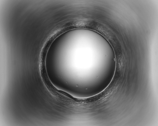 X0000096490728200801241504