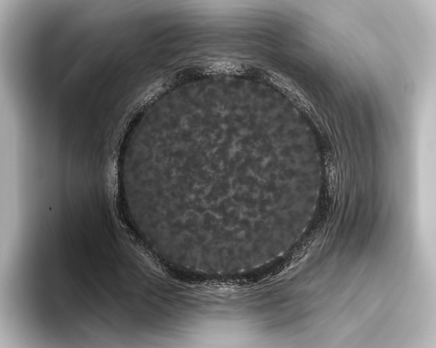 X0000096490729200801241504