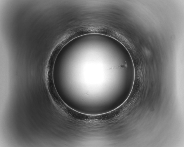 X0000096490730200801241504