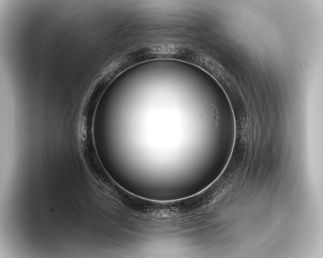 X0000096490731200801241504