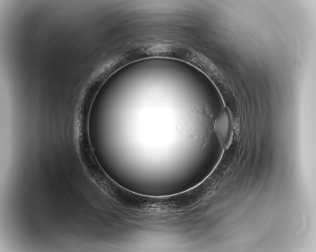 X0000096490732200801241504