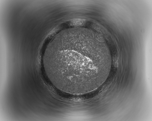X0000096490735200801241504