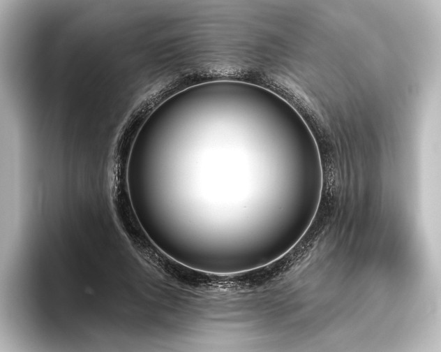 X0000096490736200801241504