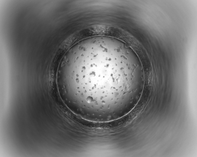 X0000096490737200801241504