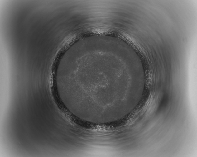 X0000096490738200801241504