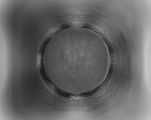 X0000096490742200801241504