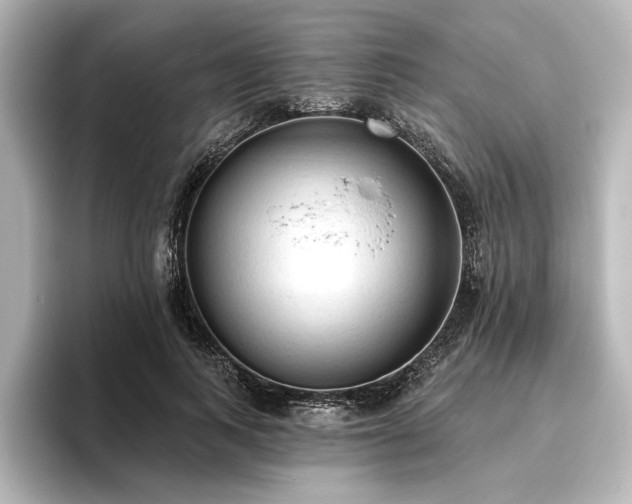 X0000096490743200801241504