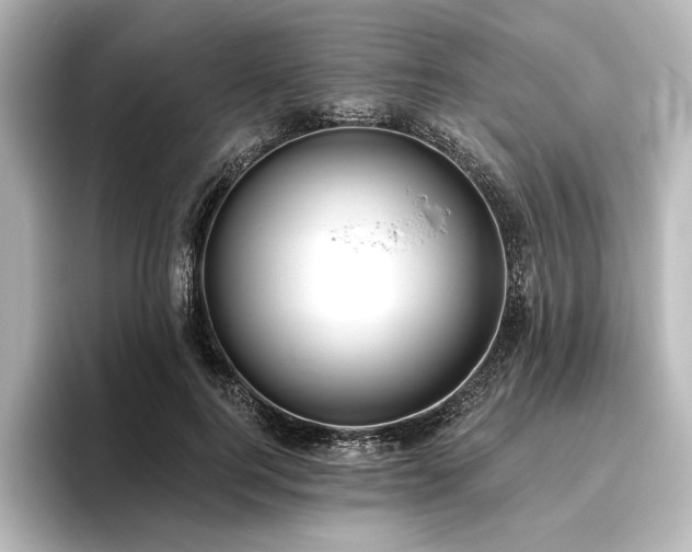 X0000096490744200801241504
