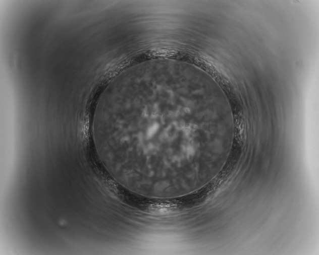 X0000096490745200801241504