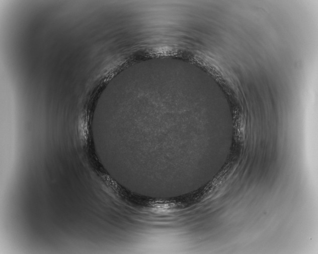 X0000096490746200801241504