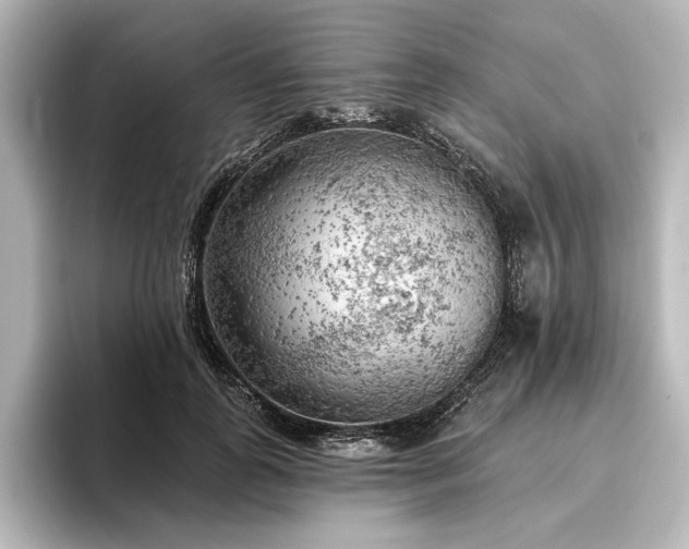 X0000096490747200801241504