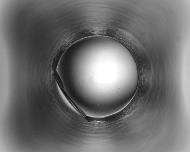 X0000096490748200801241504