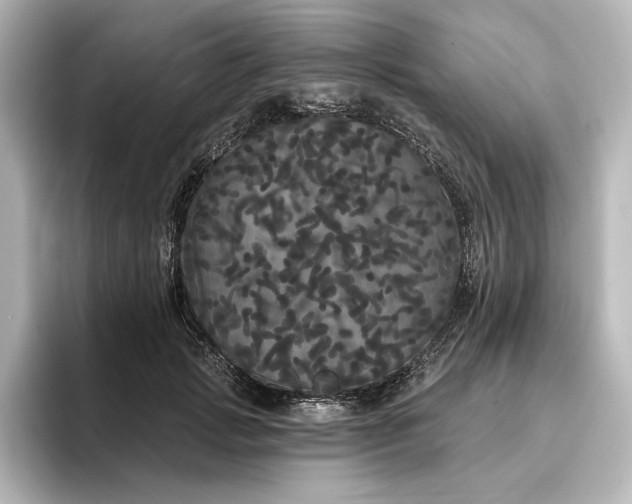 X0000096490749200801241504