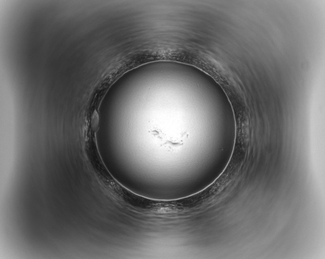 X0000096490750200801241504