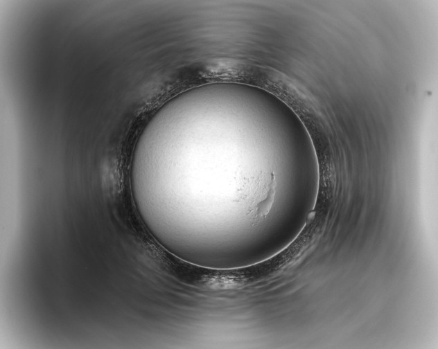 X0000096490751200801241504