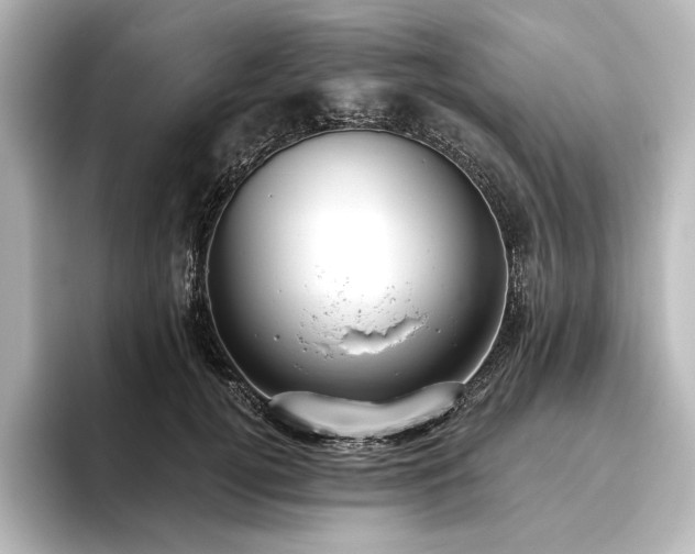 X0000096490752200801241504